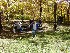 Picnic area approaching Dolly Sods